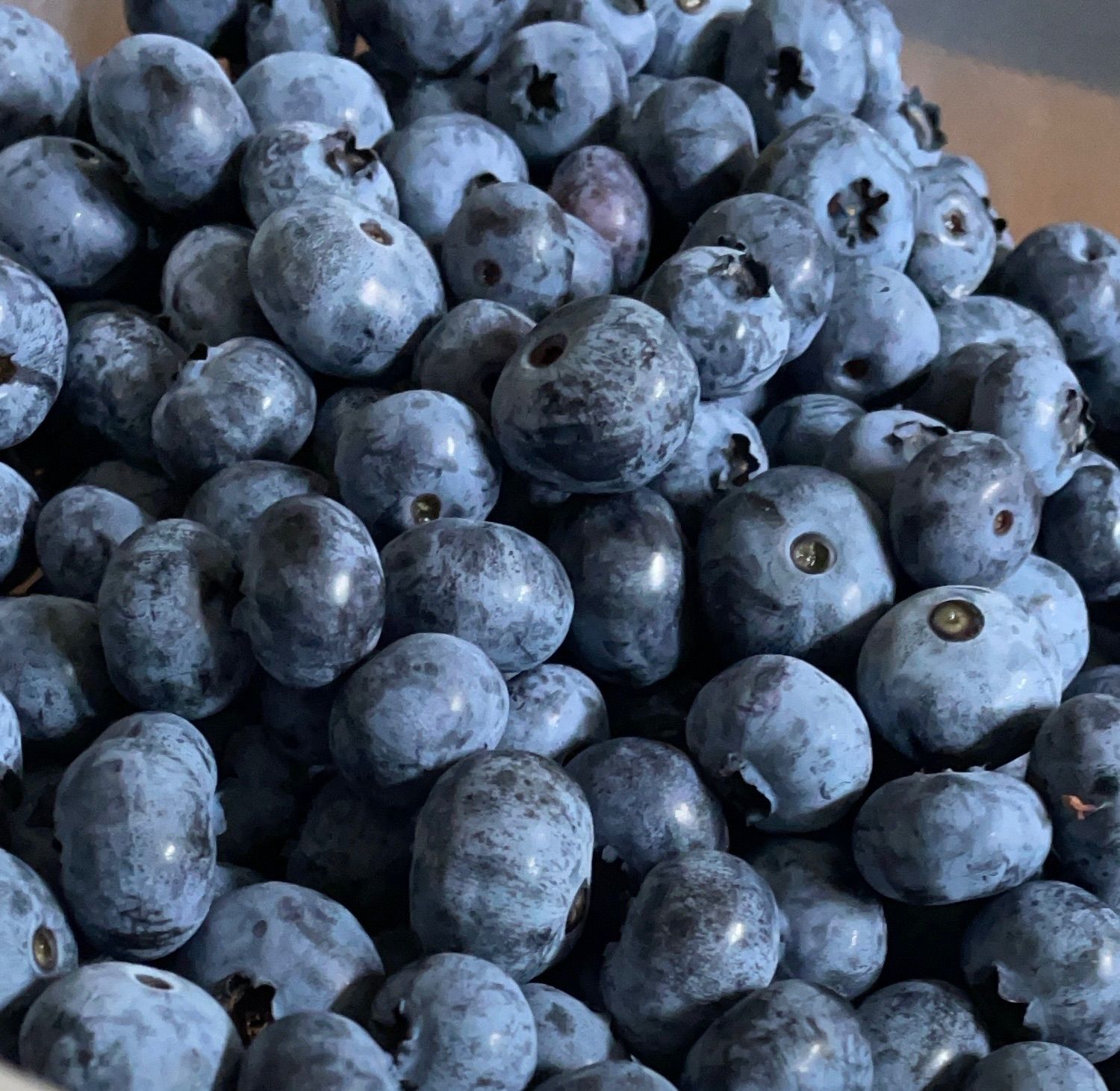 冷凍 完熟 ブルーベリー オンライン & 冷凍 ブラックベリー 約3.25kg