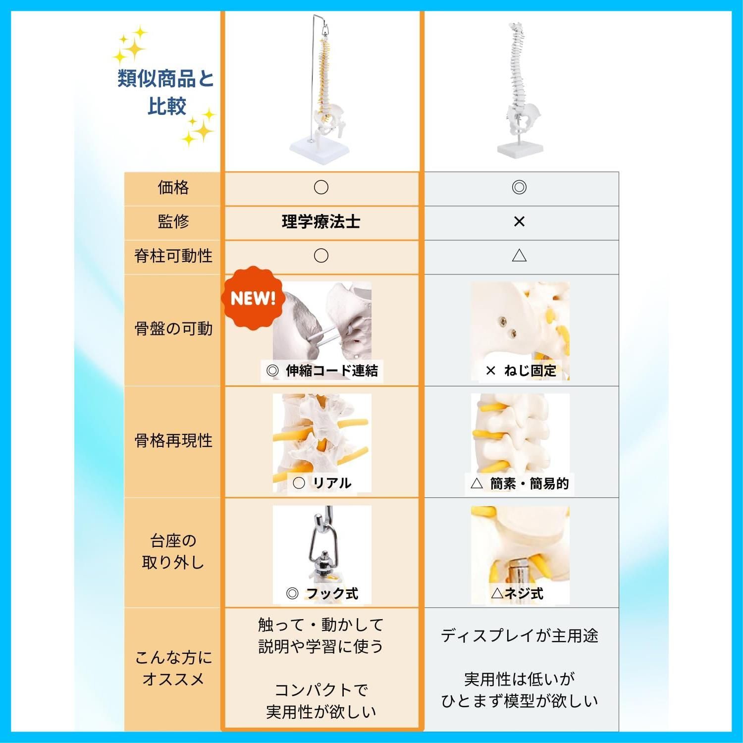 台座付き