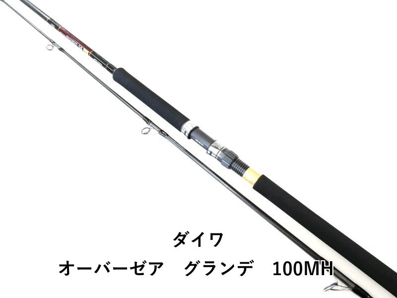 ダイワ オーバーゼア グランデ 100MH 02-8209240008