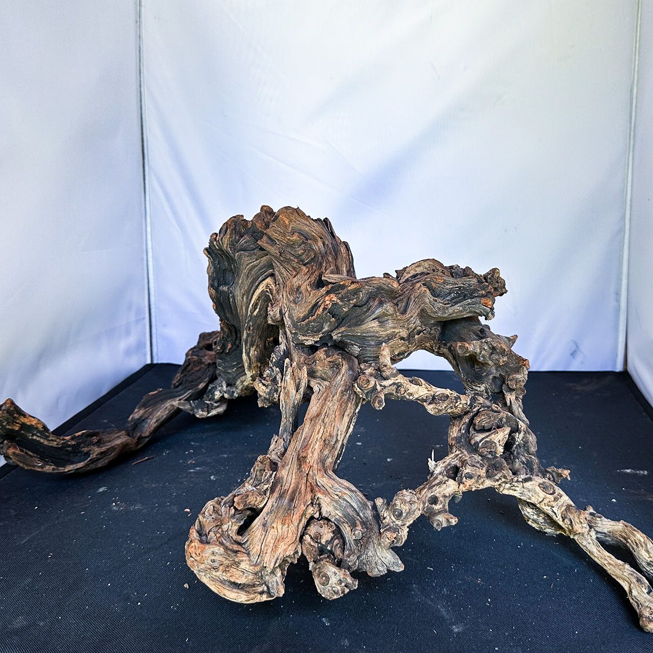 ディープホーンウッド|Deep Hornwood