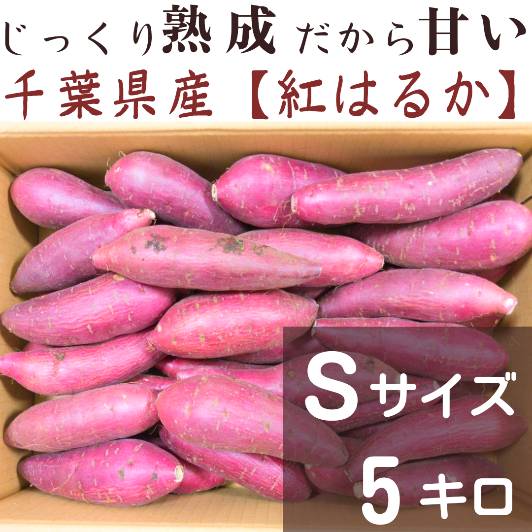 さつまいも 紅はるか 5キロ - 野菜