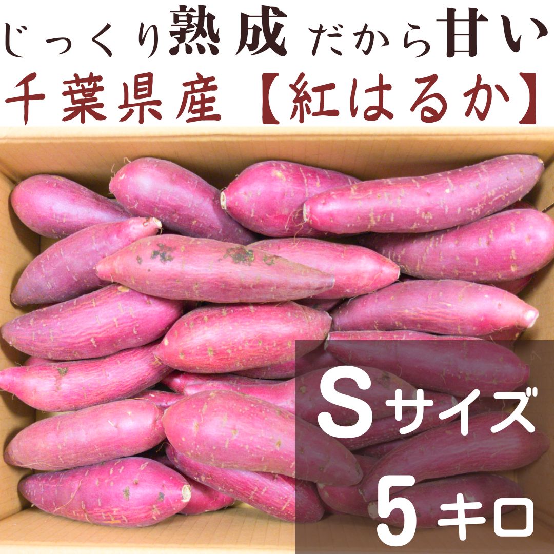 5kg　さつまいも　やきいも　メルカリ　小さいサイズ　紅はるか　千葉県産　Sサイズ