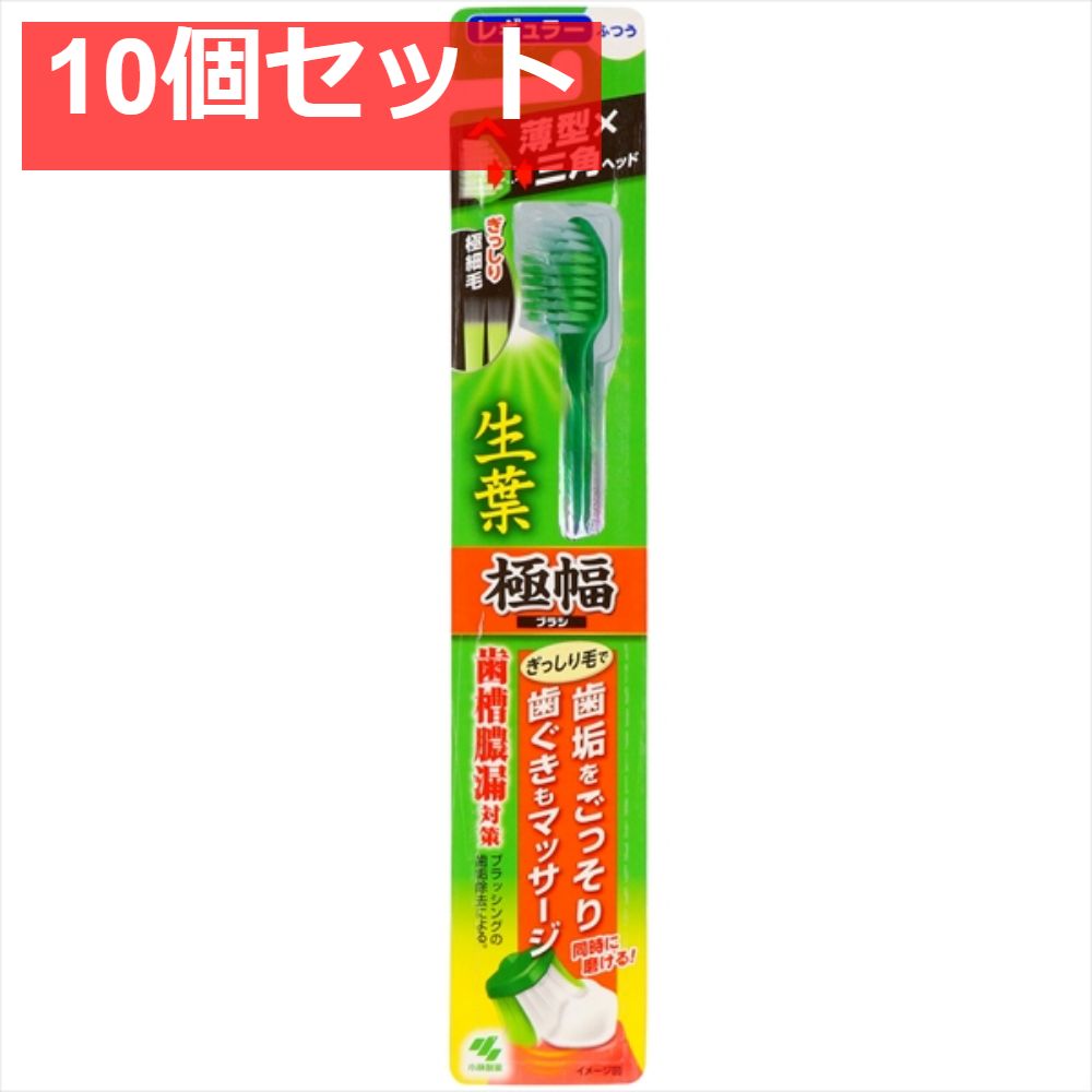生葉極幅ブラシ ふつう 10個セット まとめ売り