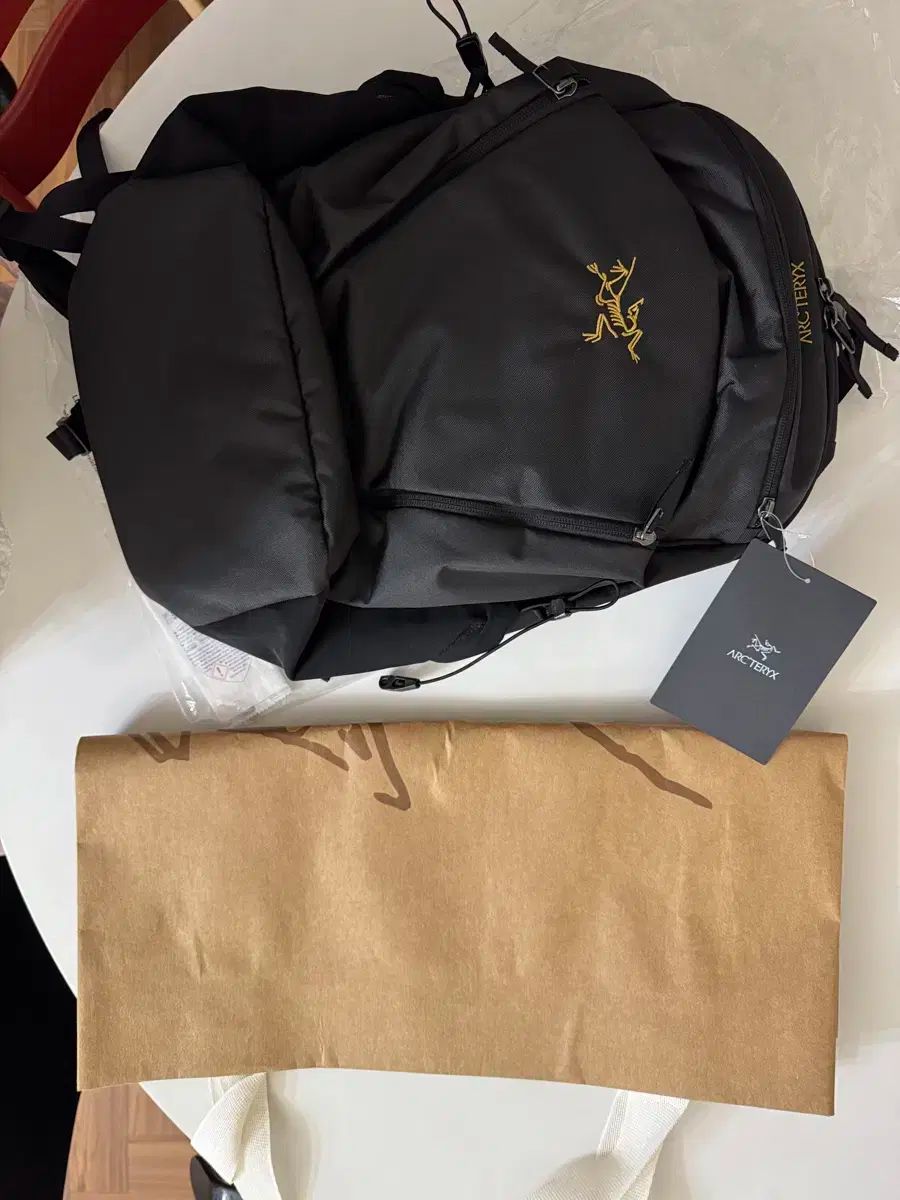 ARC TERYX マンティス 26 バックパック 25年