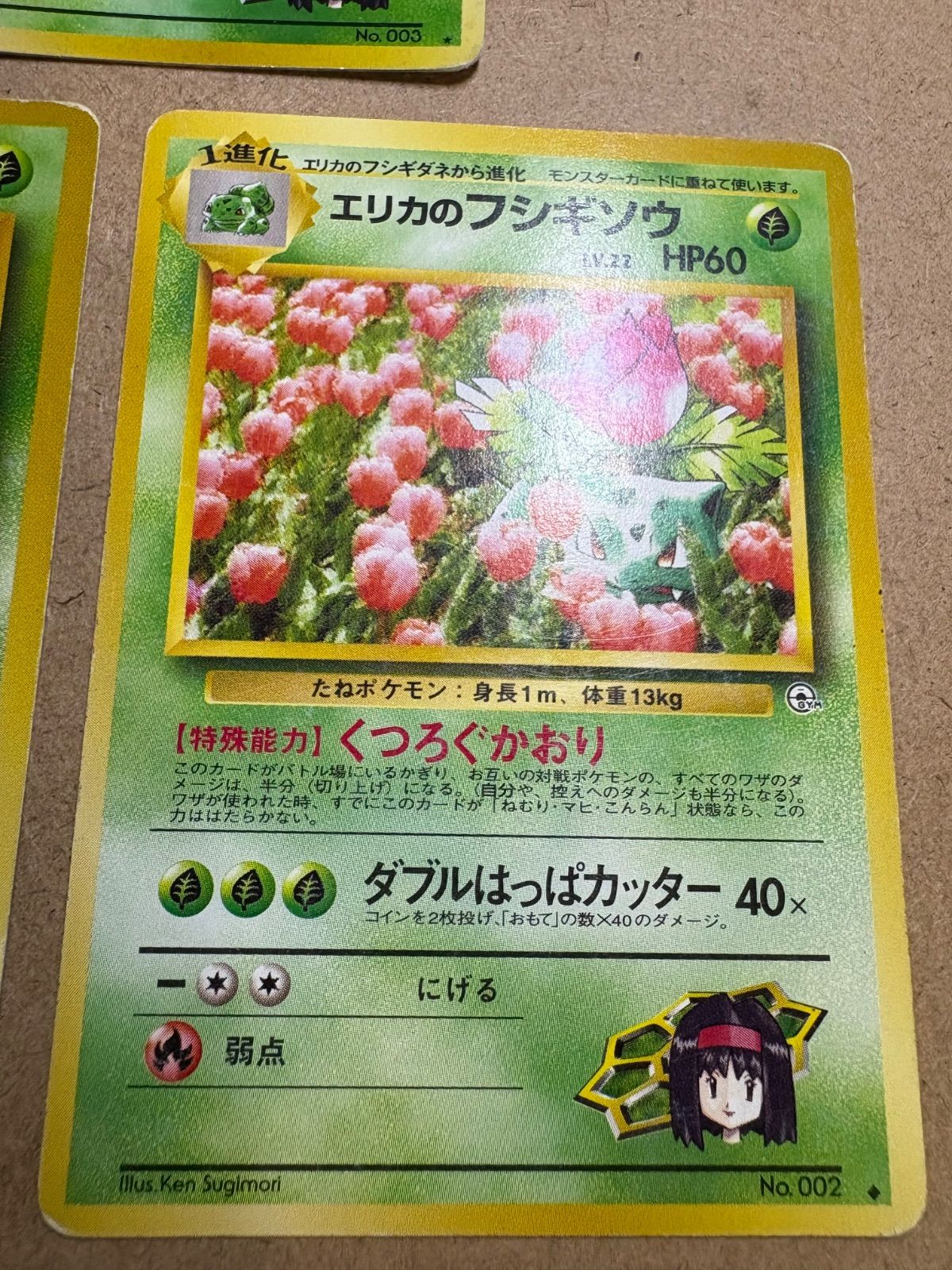 エリカのフシギバナ＆エリカのフシギソウ＆エリカのフシギダネ