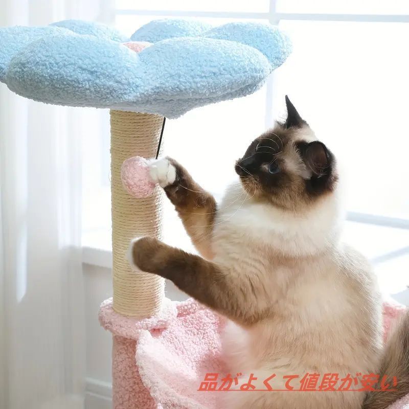 キャットハウス 猫ハウス