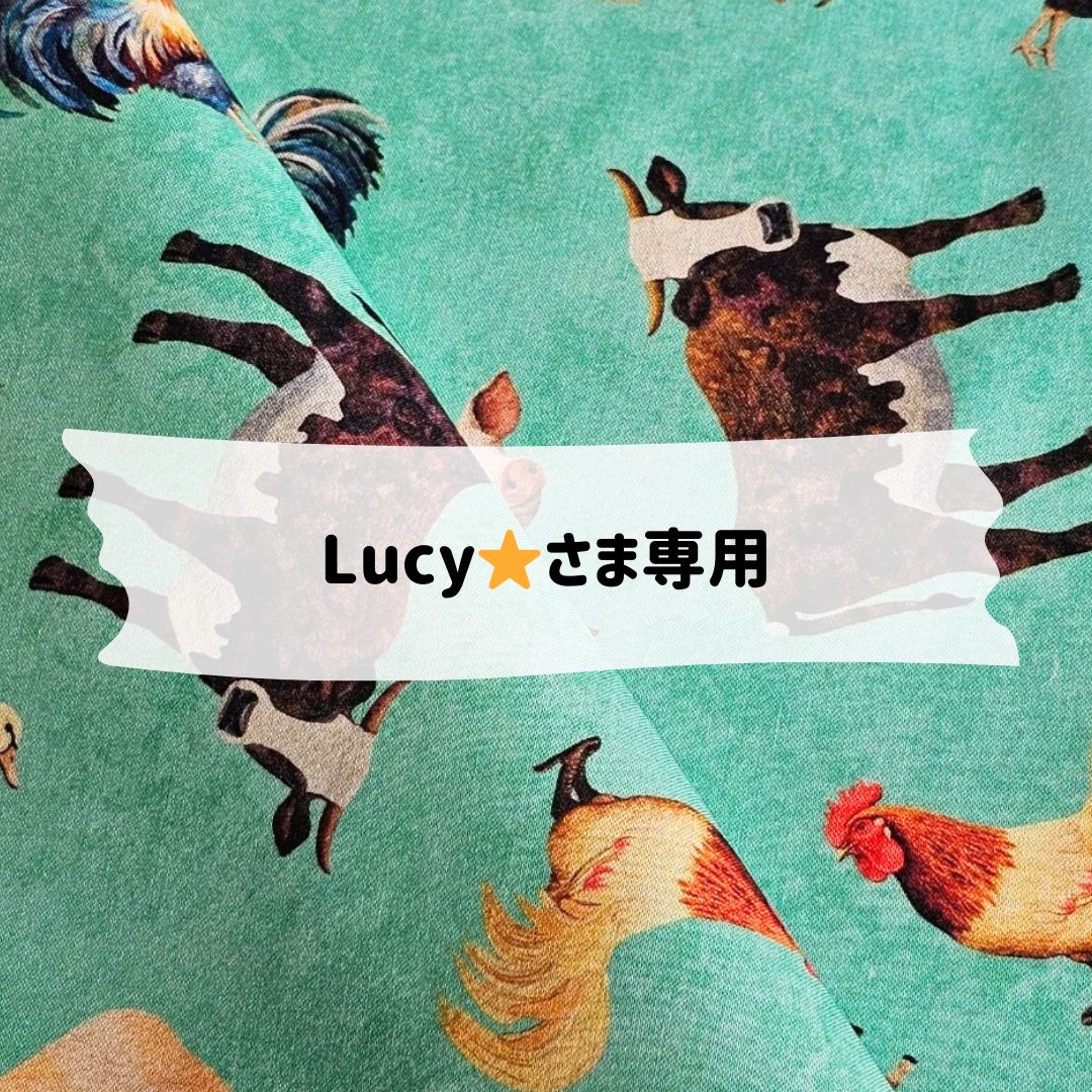 LUCY♡ Lucy様 専用 様専用 LUCY♡様専用 Lucy様専用 Lucyさま
