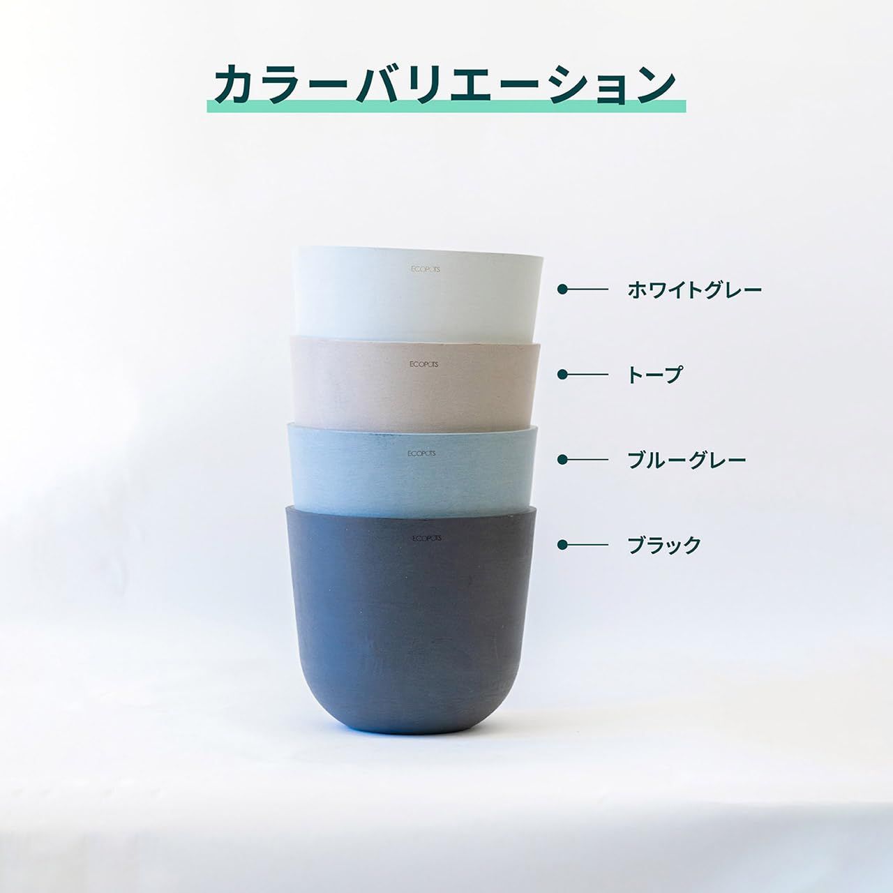 アンドプランツ