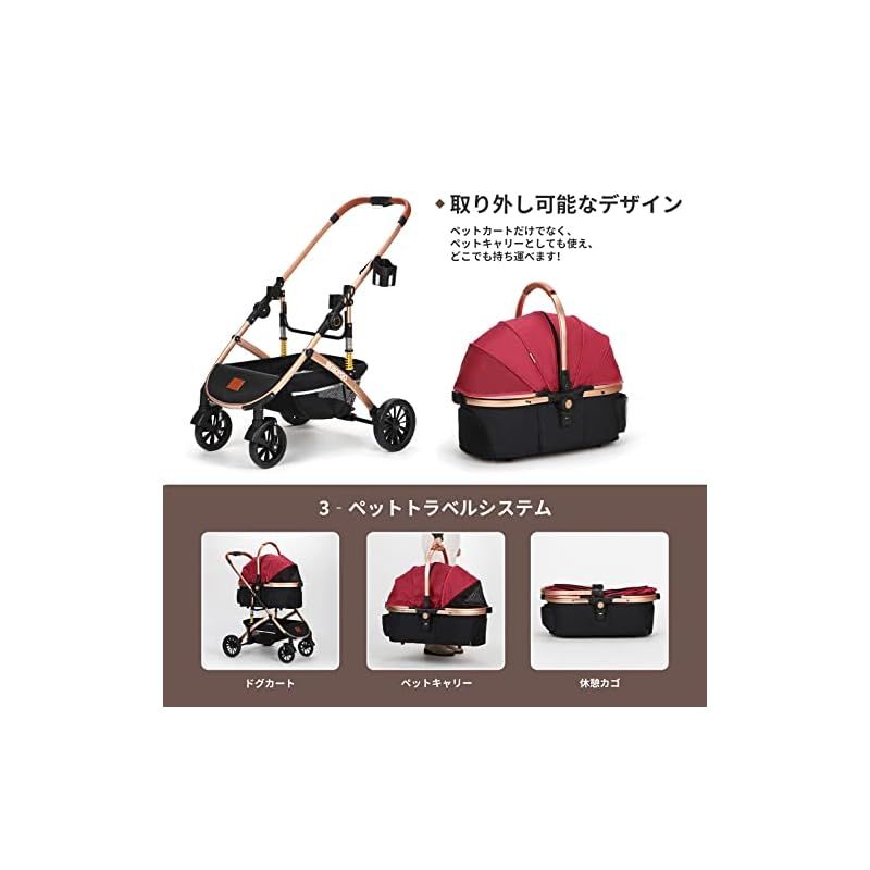 小型犬 中型犬