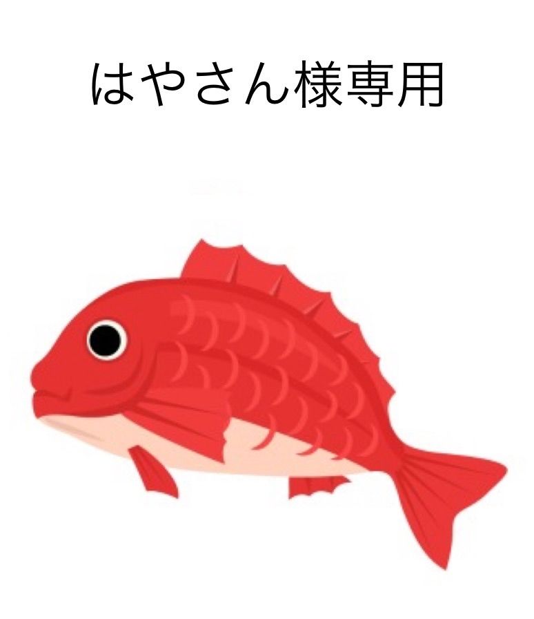 タイラバ タングステン はやさん様専用 60g 80g 100g 各2個 計6個