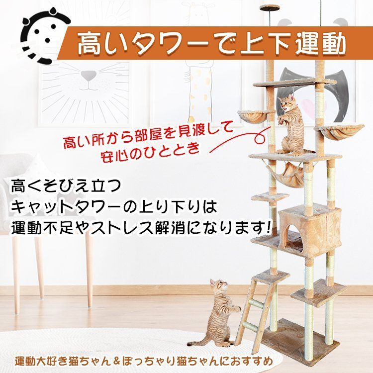 ネコ