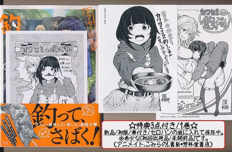 カワセミさんの釣りごはん(9) (アクションコミックス) | 匡乃下