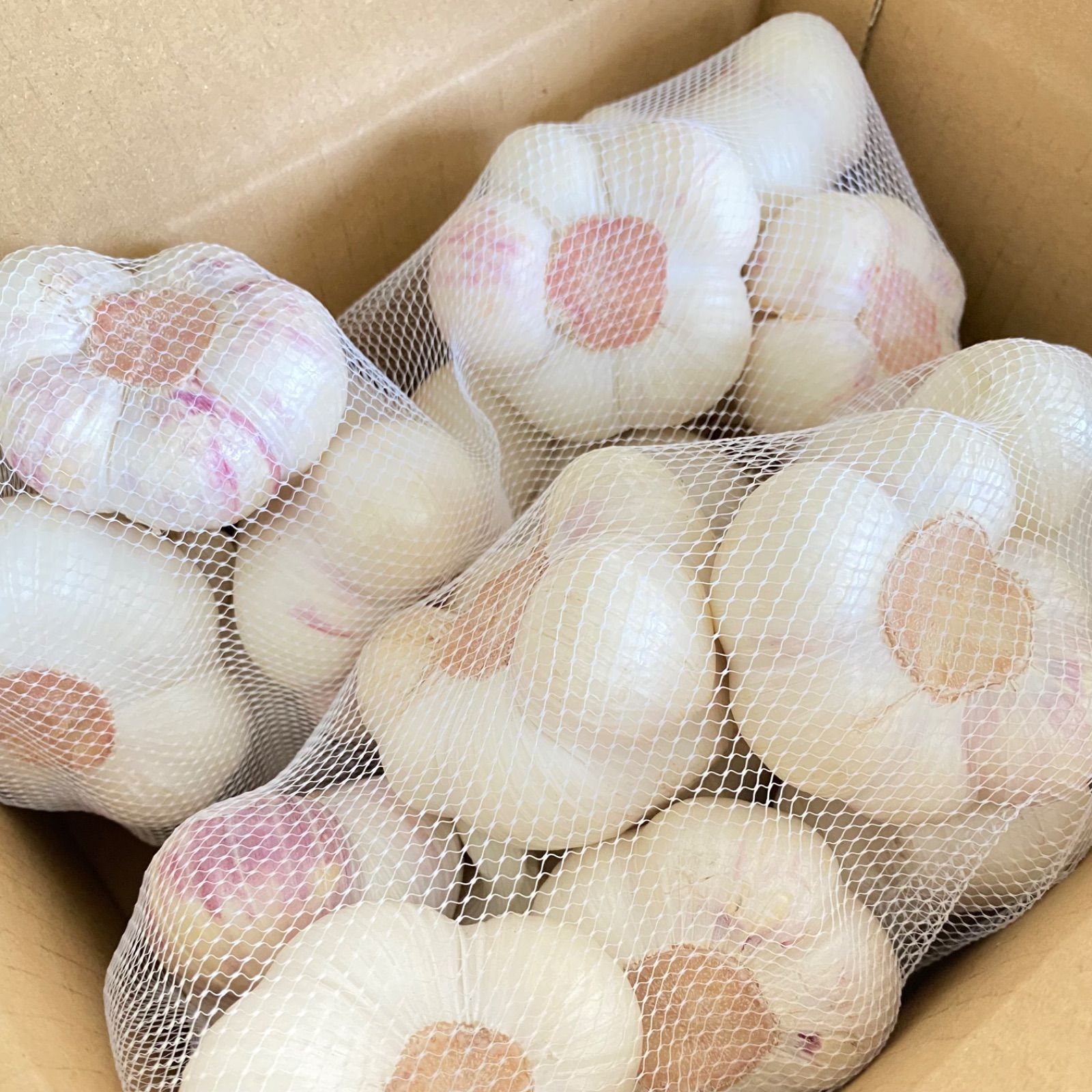 タネ用 無消毒 にんにく Lサイズ 2kg 青森県産 福地ホワイト六片