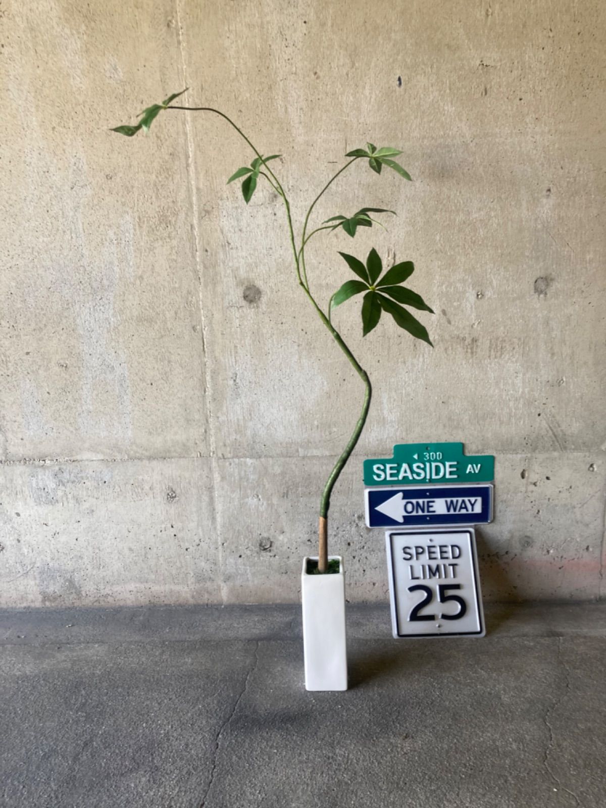 光触媒 人工観葉植物 ウォールグリーン フェイクグリーン 細々