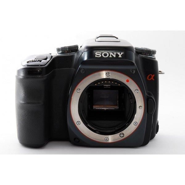 ソニー SONY α100 DSLR-A100 高倍率ズームレンズセット ブラック