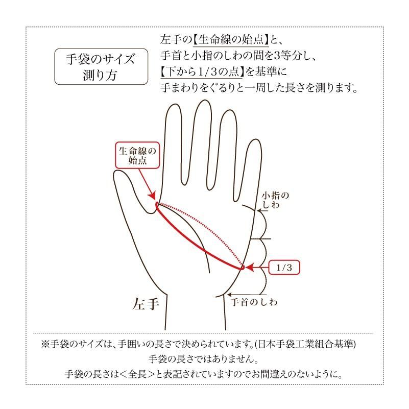 特価商品】OB10220L7 21cm 手袋 レディース タッチパネル対応 レザー