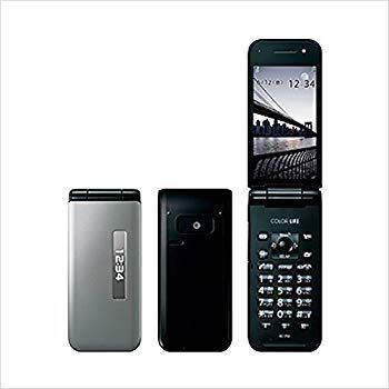 【】COLOR LIFE 5 WATERPROOF 401PM シルバー w17b8b5