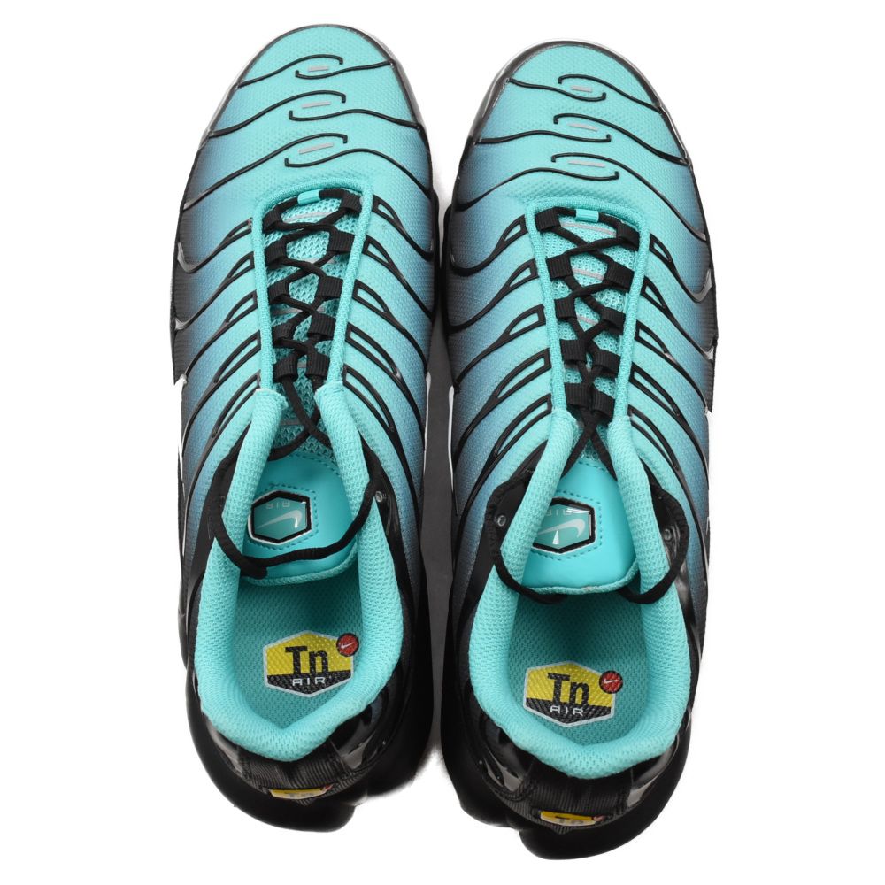 NIKE (ナイキ) AIR MAX PLUS LIGHT RETRO エアマックスプラス ライト