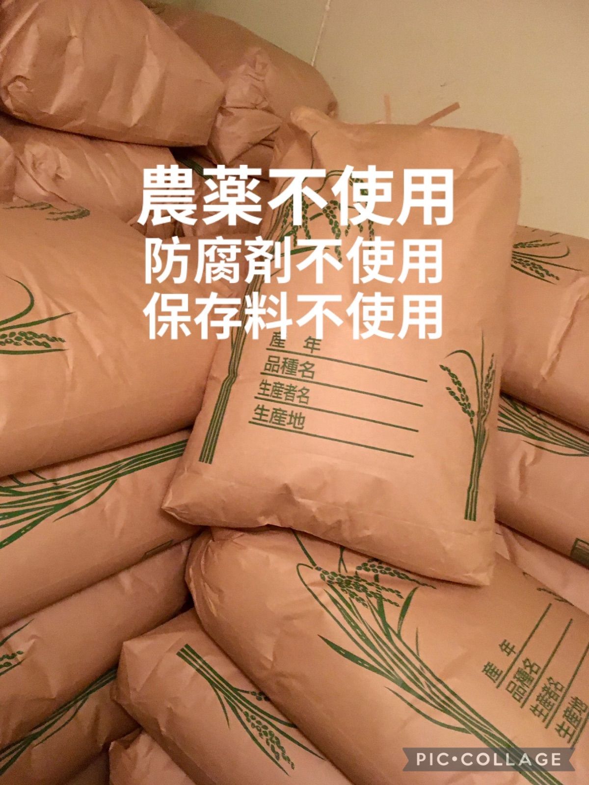 農薬不使用コシヒカリ 10kg⭐️農家直送