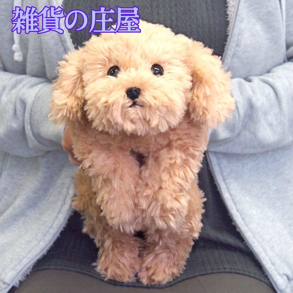 激安セール】ひざわんこ トイプードル ベージュ ぬいぐるみ S P