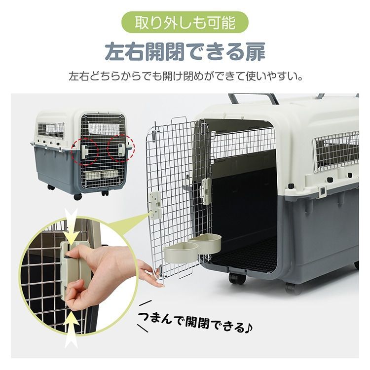 動物 公共交通機関
