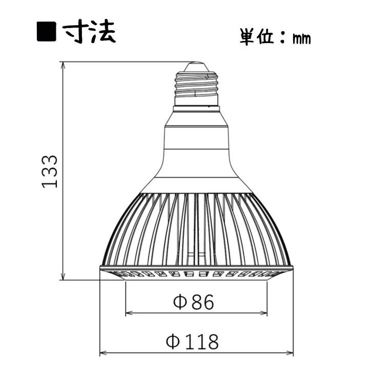 いきもの電球