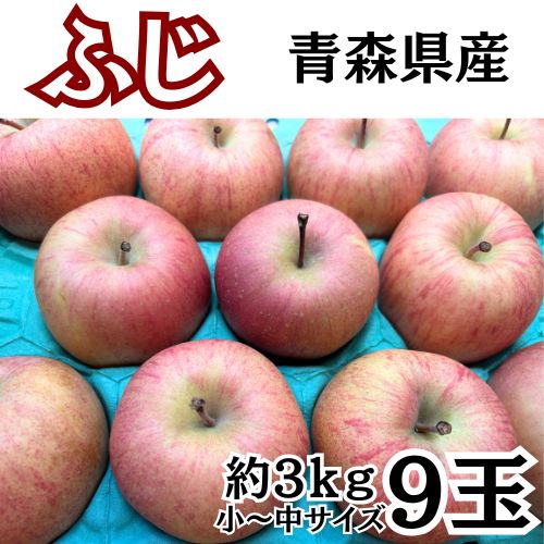 りんご ふじ 3㎏9玉 青森県産 リンゴ≪送料無料≫ 小～中