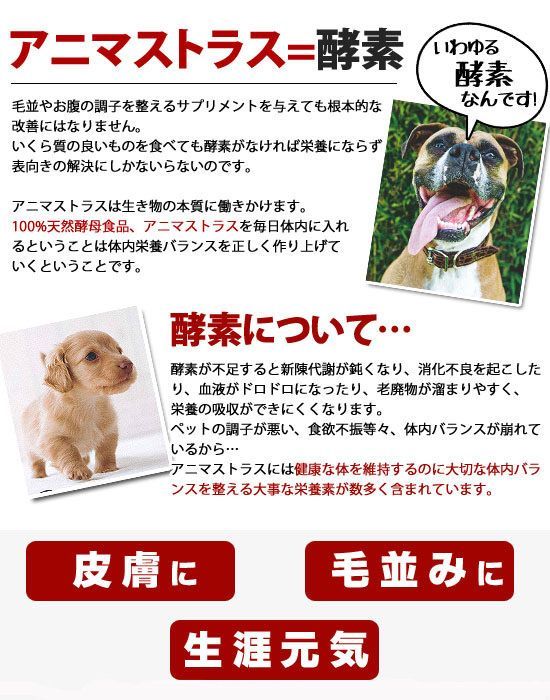 活性化