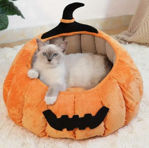 屋内猫用のかわいいパンプキン猫ベッド