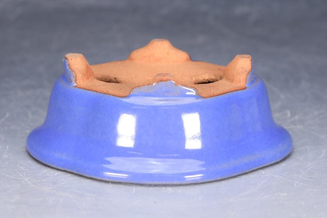 石井盆栽 渡辺壱興作