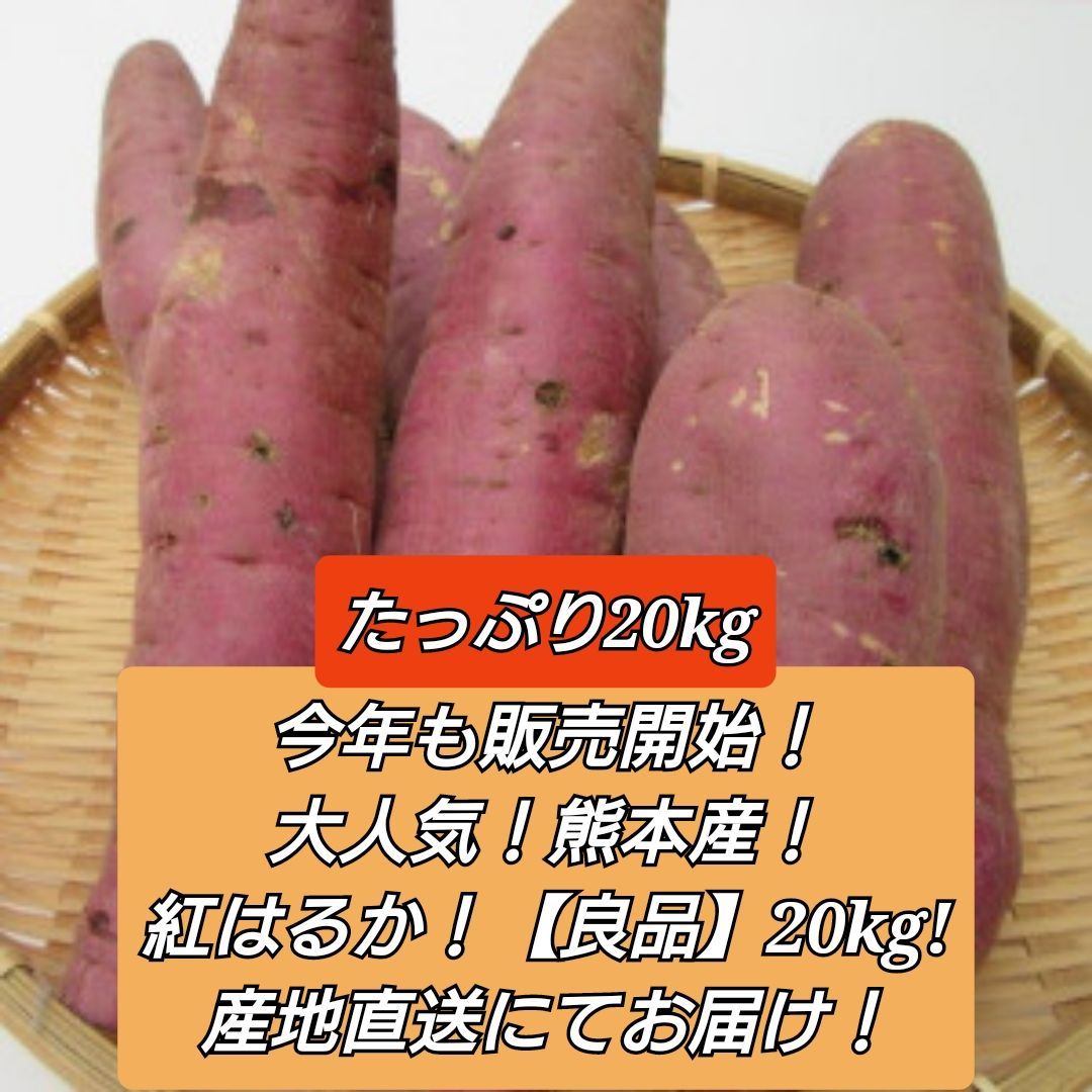 【大人気】熊本県産 紅はるか（訳あり）約20kg有機JAS認証/無農薬