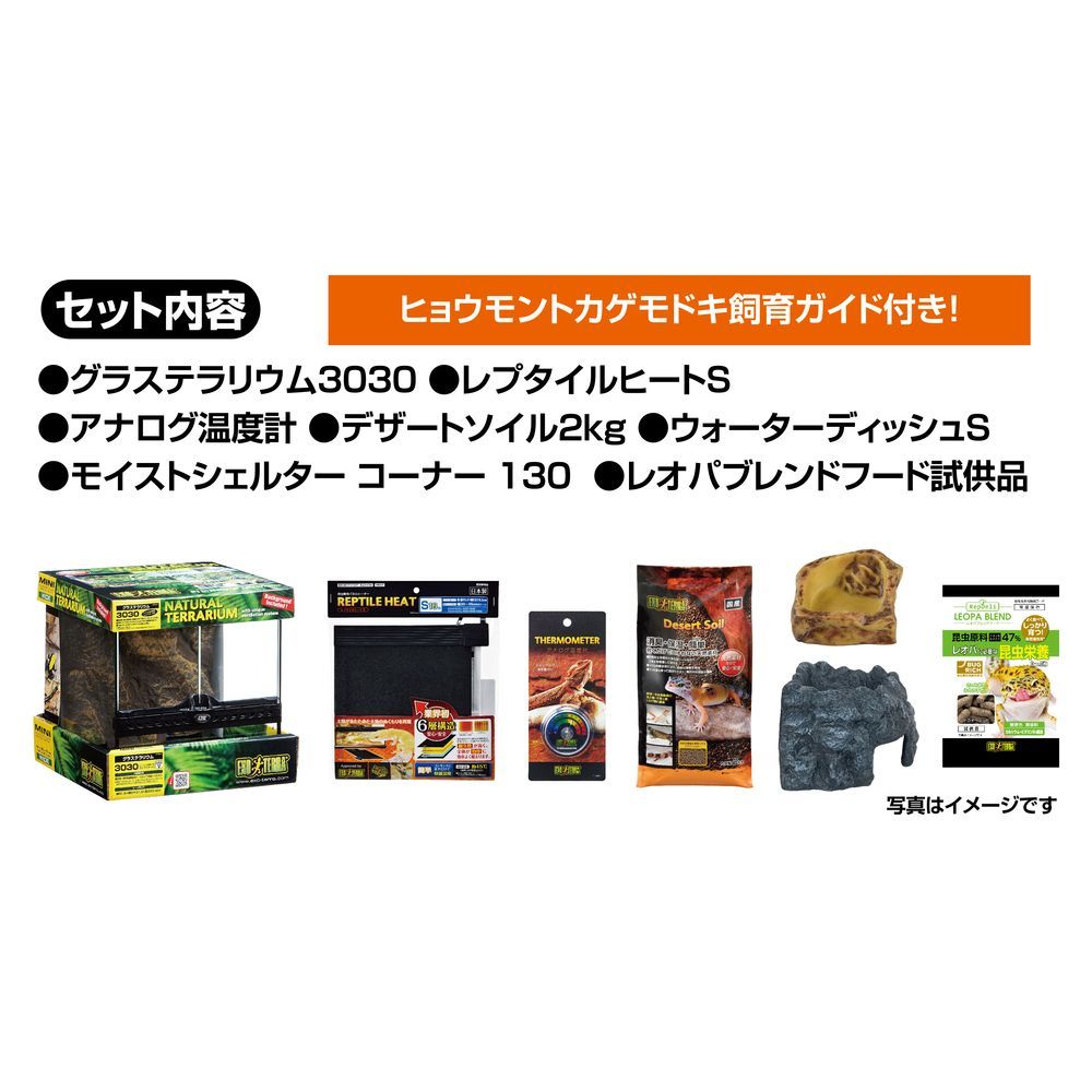 エキゾテラ