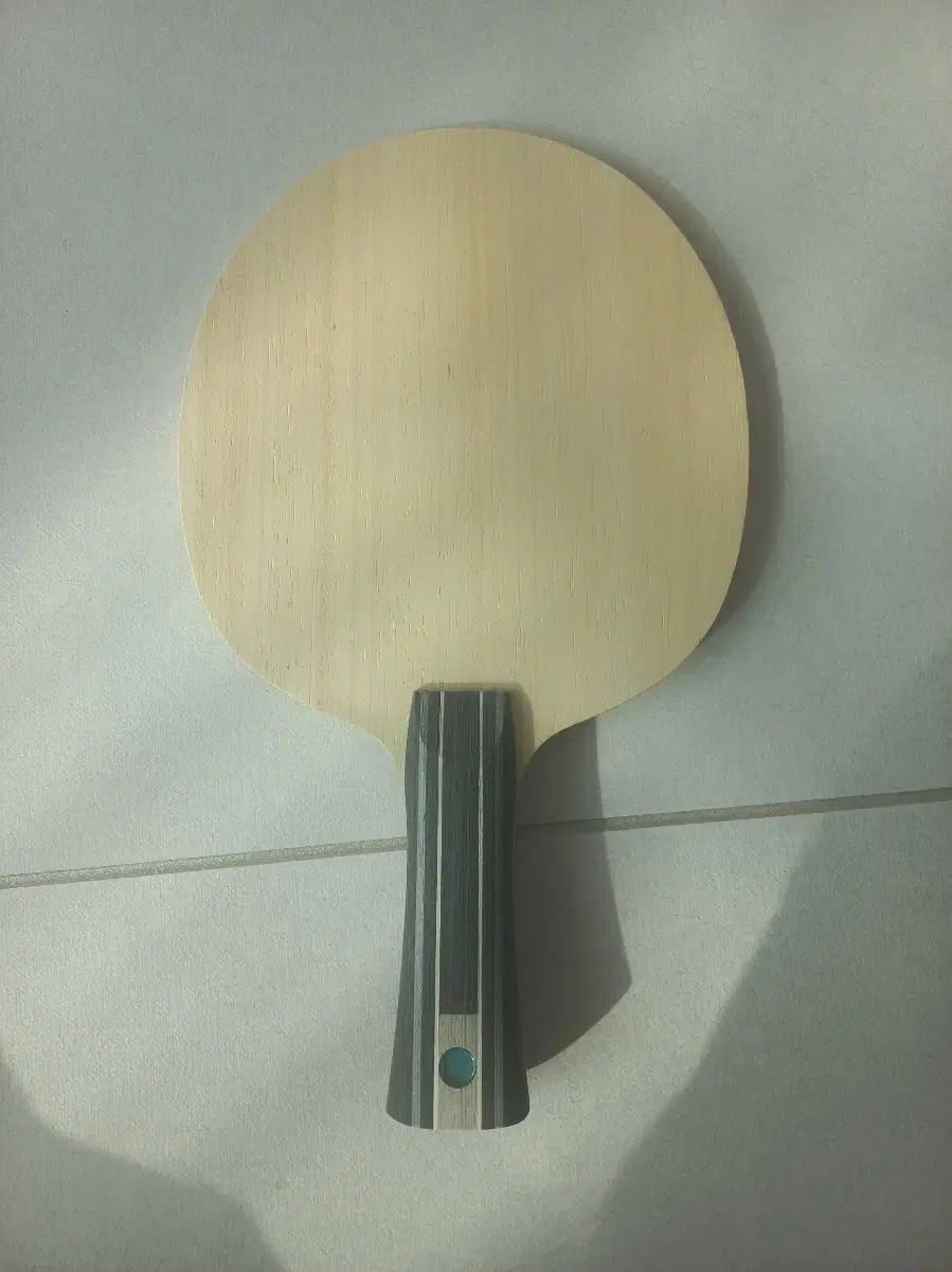 ピンポンテーブル バタフライ パンゼンドン zlc fan zendong