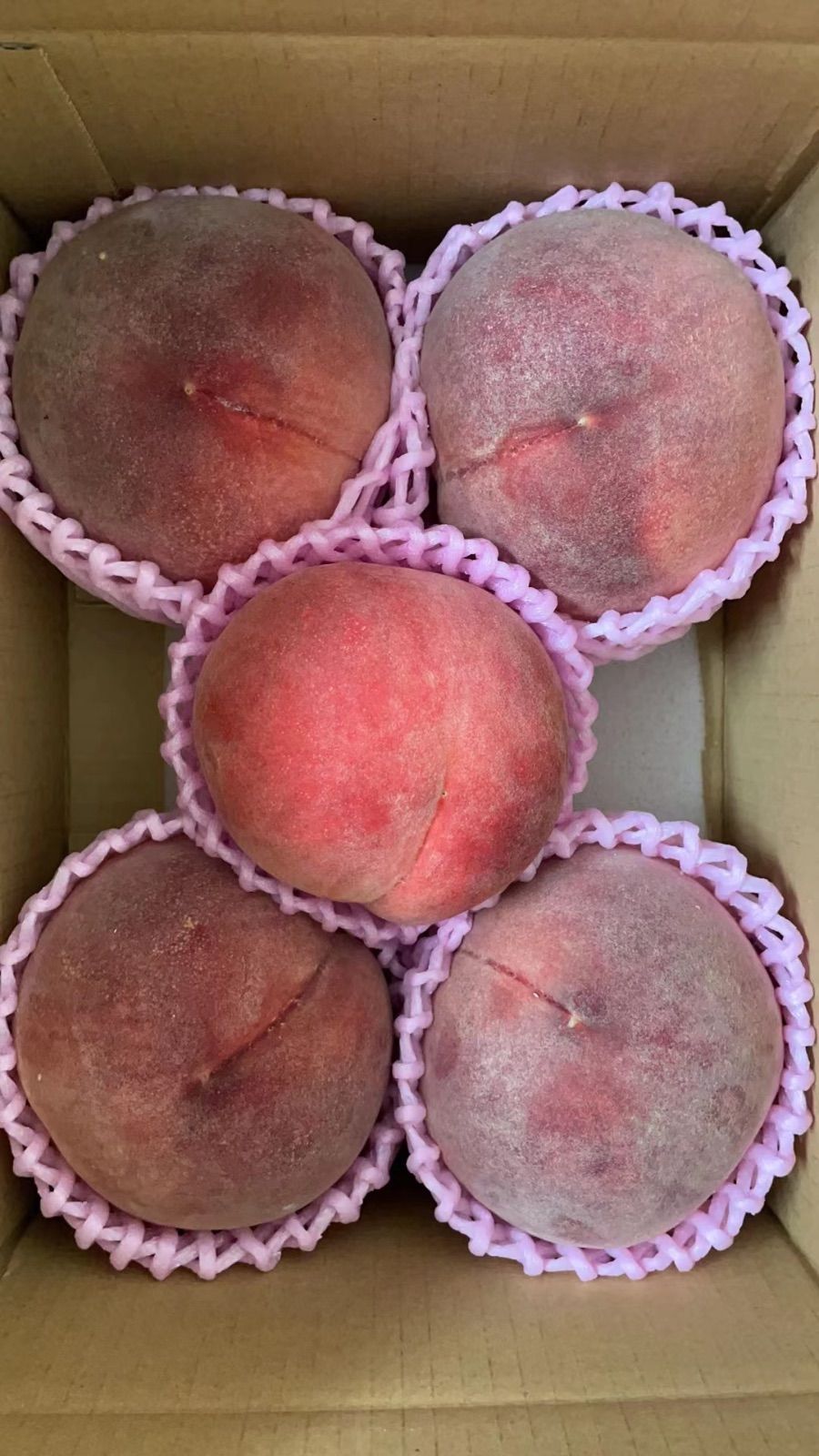 山梨県産　バリカタ桃ちゃん　硬い　かたい　固い　桃　もも　モモ
