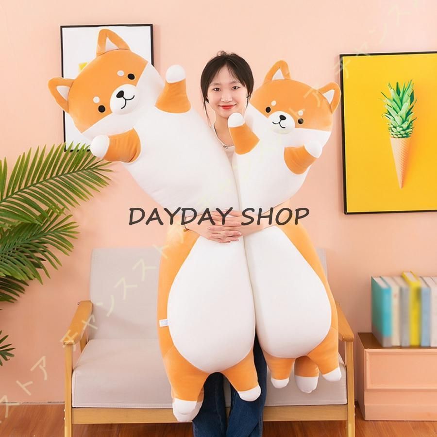 動物
