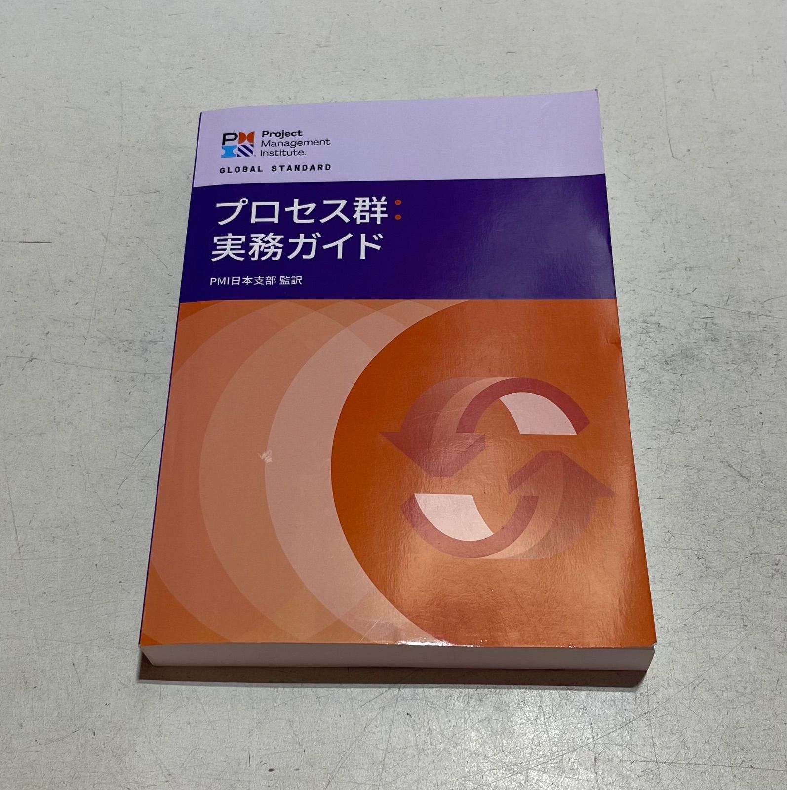 プロセス群実務ガイド PMI PMP 日本語版 - メルカリ