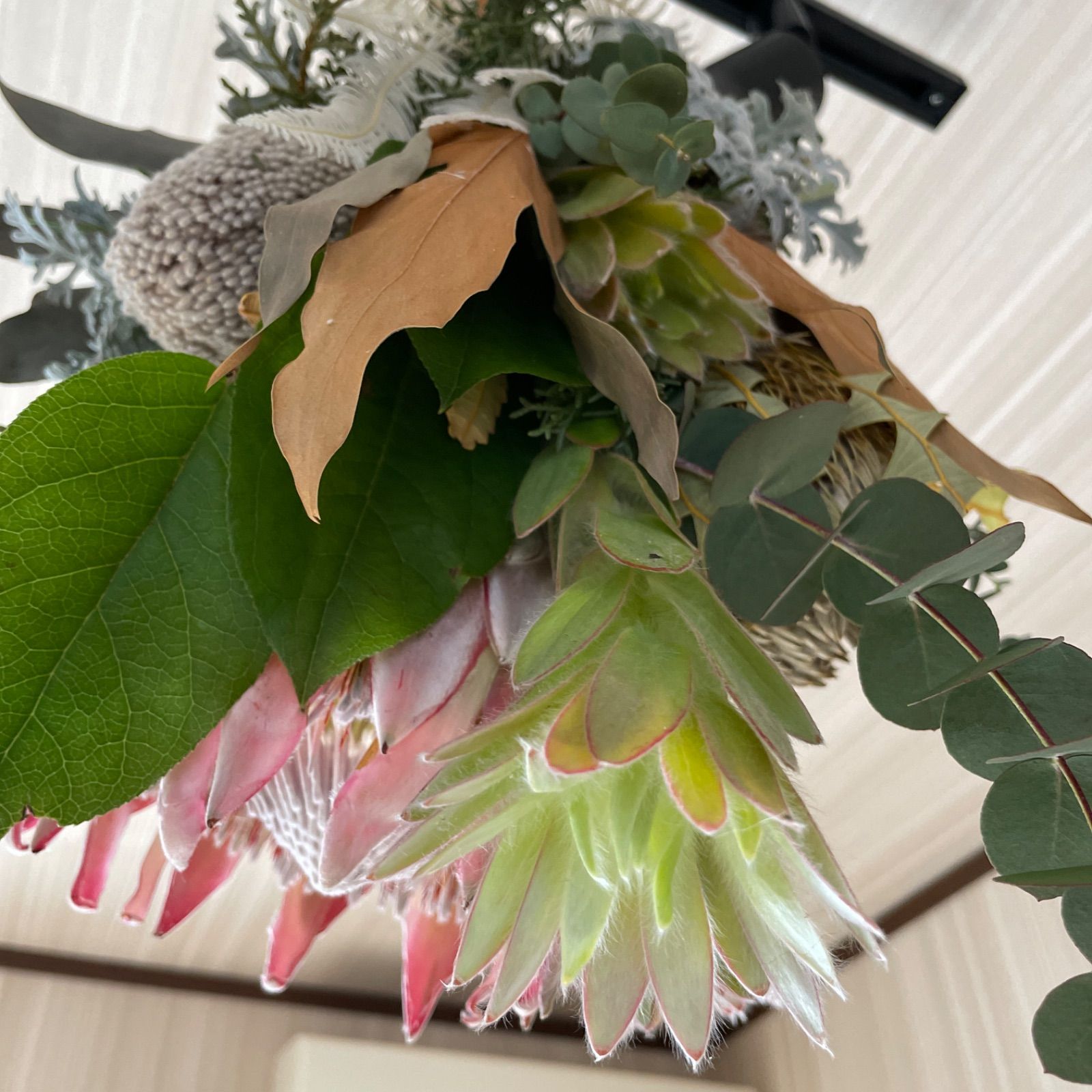 ネイティブフラワー キングプロテアの吊り下げスワッグ＊ - メルカリ