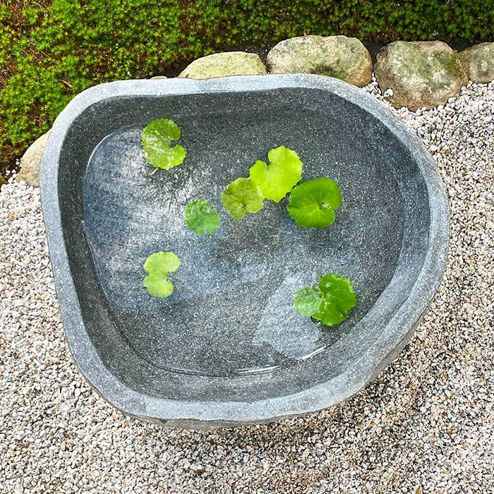 臼　うす　手水鉢　庭園　ガーデニング 灯籠　メダカ　蹲 つくばい 手水鉢（園芸用品） | 花、ガーデニング のおすすめ