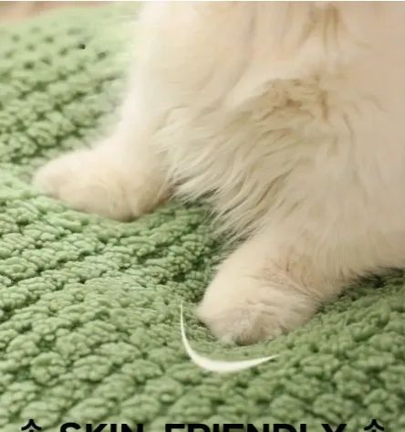 カエルの形をしたペットベッドは 猫や小型犬に適しており