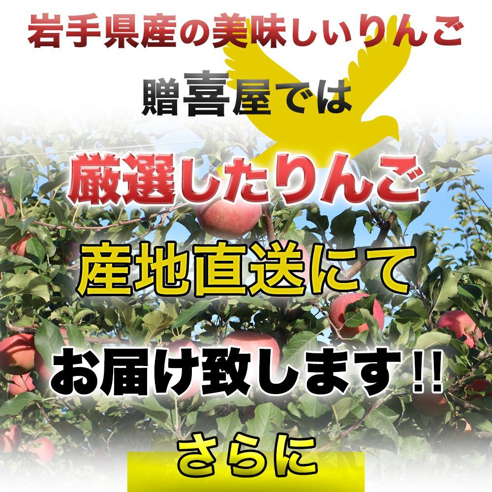 岩手県産 産地直送 サンふじ りんご 約5kg 送料無料 りんご 果物-8