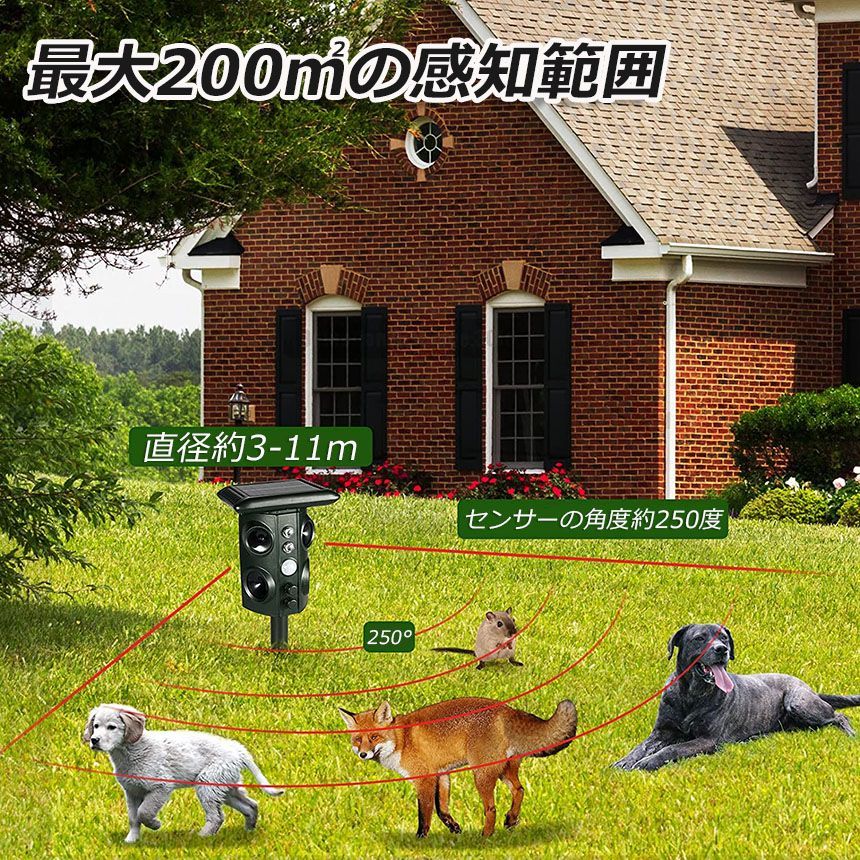 人気の福袋 経典 新品 未使用 猫除け 超音波 ソーラー 防水 3個セット ねこよけ 鳥よけ 犬よけ 猫避け 動 その他 Www Sundiscountpharmacy Com Www Sundiscountpharmacy Com