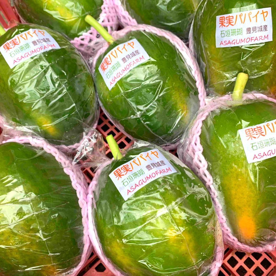 沖縄県産 フルーツパパイヤ 2玉（1㎏前後）国産 果物-2