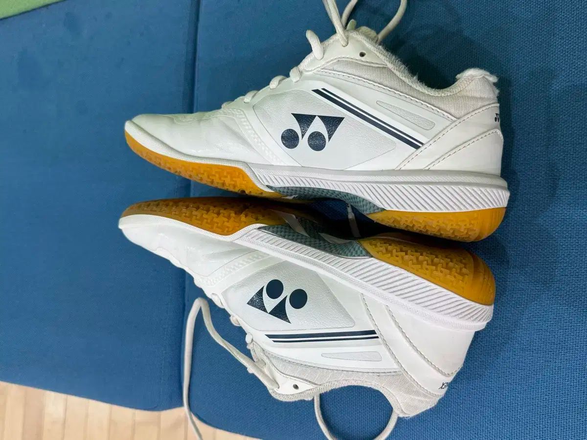 24.5㎝　65Z4メン　新品未使用　YONEX　バドミントン　シューズ バドミントン,バドミントンシューズ 一般のヨネックス YONEX