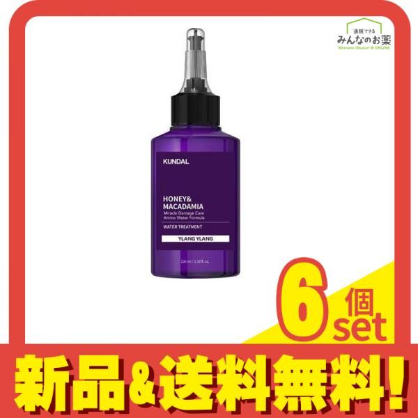 KUNDAL(クンダル) ハニーu0026マカダミア ウォータートリートメント イランイラン 100mL 6個セット まとめ売り