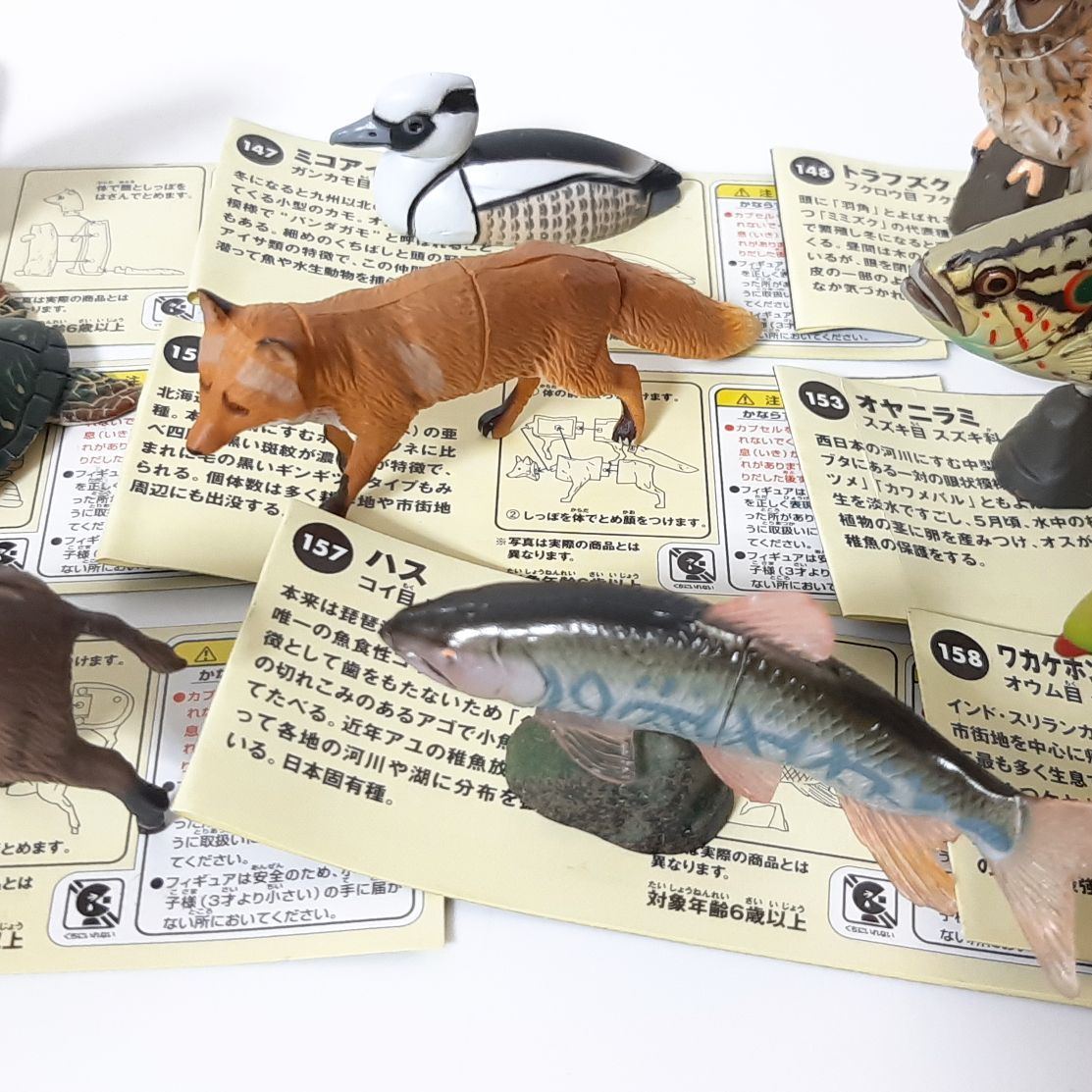 チョコエッグ非売品 分布地図 日本の動物第1弾 24種アソート 海洋堂 
