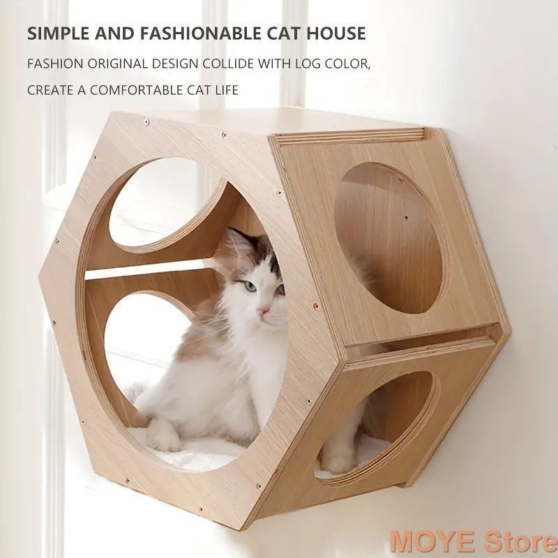猫ハウス