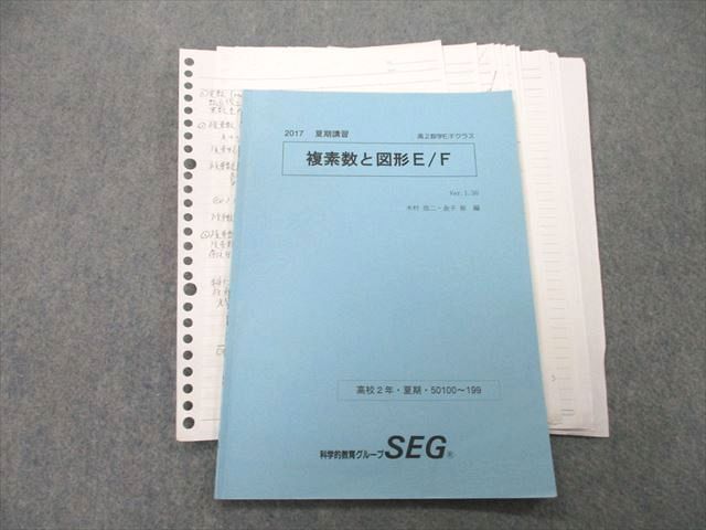 送料0円】 SEG 2020年度 高3 化学テキスト 全範囲 板書プリント付き 