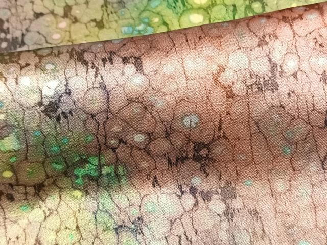 平和屋着物▽上質な小紋　単衣　霞文　正絹　逸品　AAAV2866fy 平和屋着物▽上質な小紋 単衣 霞文 正絹 逸品 AAAV2866fy - メルカリ