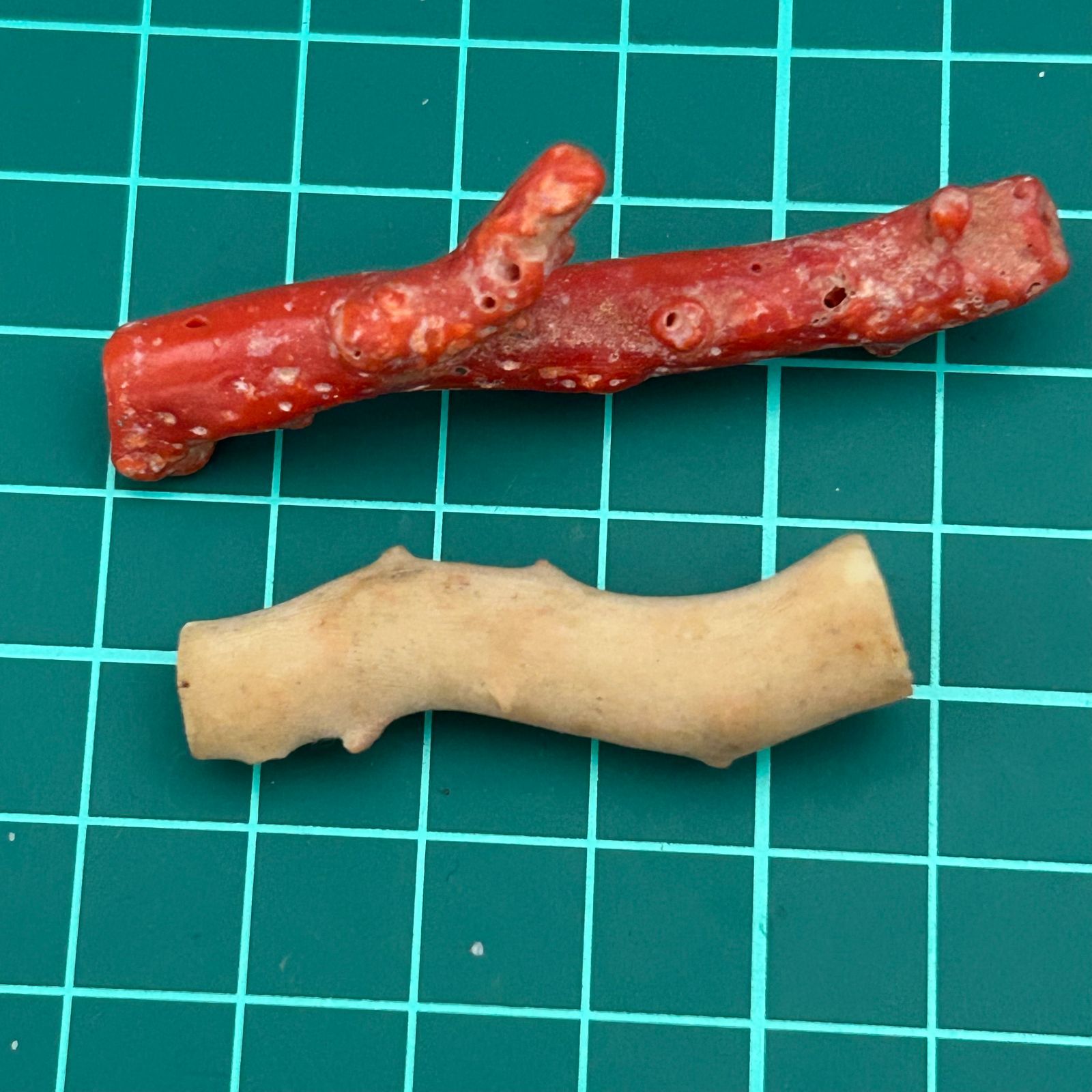 血赤珊瑚 白サンゴ(桃色サンゴ) 原木 2本 まとめセット - メルカリ
