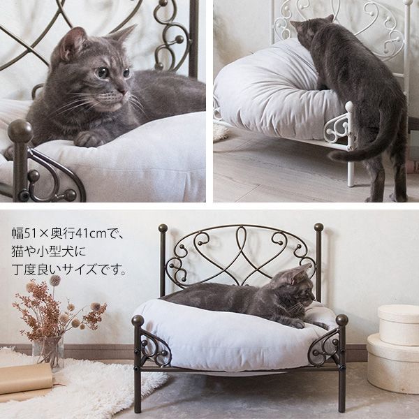 chalit シャリ